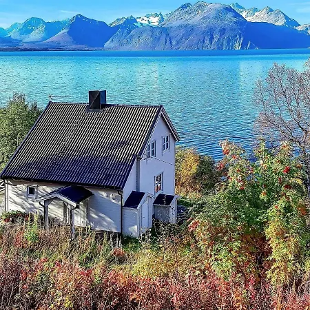 Ii * Olderdalen